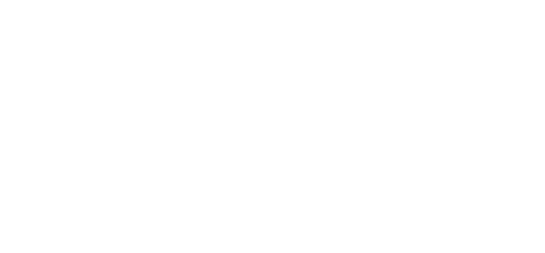 NovoArma